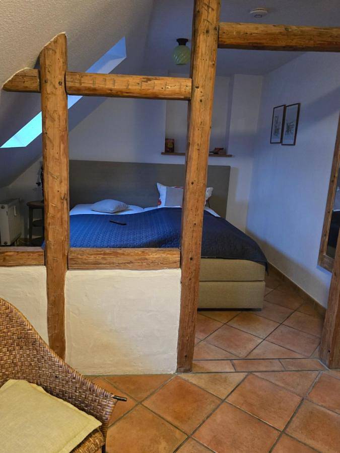 Maison d’hôte pour 4 personnes, avec jardin, animaux acceptés à Erfurt - 3