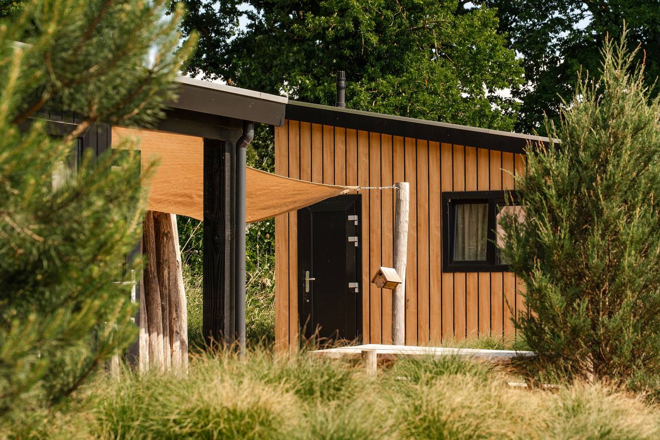 Recreatielandgoed de Ijsvogel — Zand Lodge | 4 Pers. in Veluwe