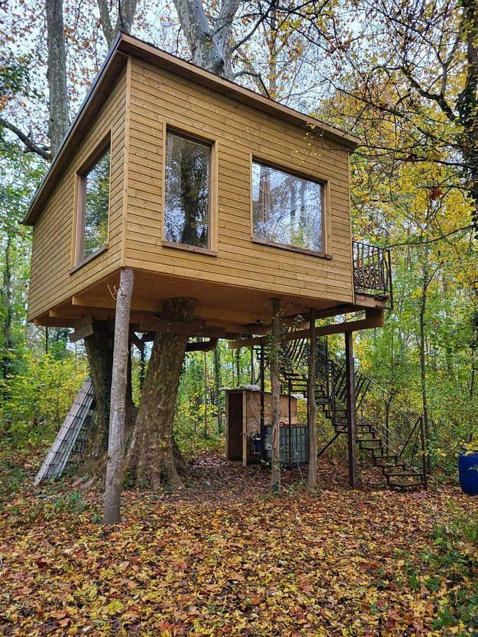 La maison dans l'arbre in Escolives-Sainte-Camille, Région d'Auxerre