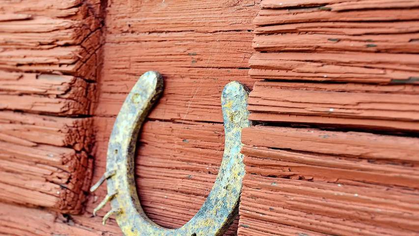 Ferienhaus für 6 Personen, mit Haustier in Väddö - 3