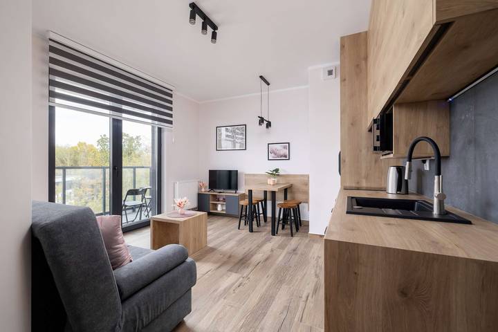 Gîte pour 3 personnes, avec balcon/terrasse, animaux acceptés à Katowice - 4