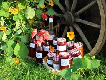 Bauernhof für 3 Personen in Alberschwende, Bodensee (Österreich), Bild 3