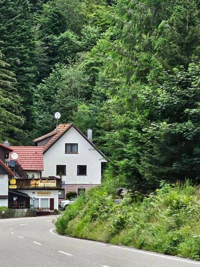 Location de vacances pour 12 personnes, avec sauna ainsi que terrasse et vue à Seebach (Ortenaukreis)