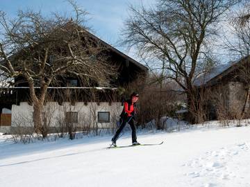 Ferienhaus für 8 Personen in Viechtach, Vorderer Bayerischer Wald, Bild 4