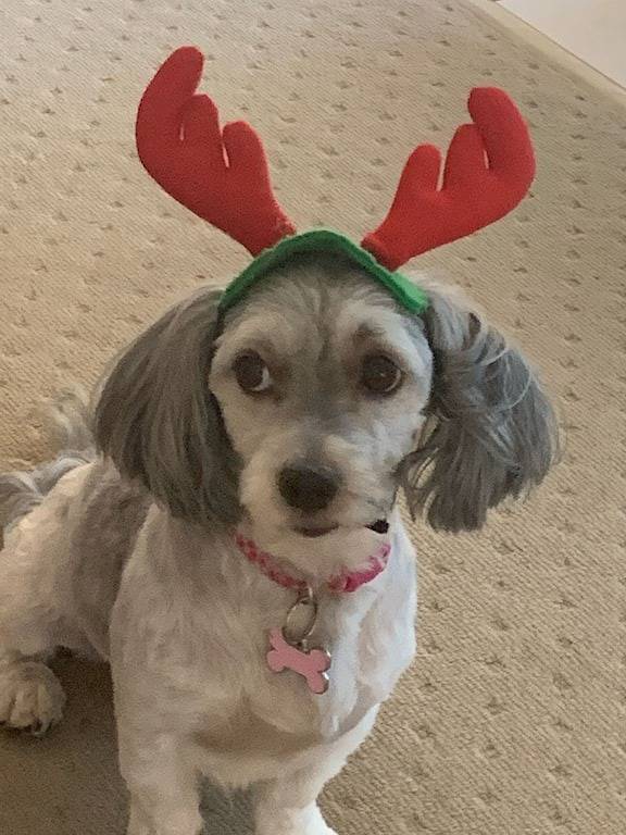 Urlaub auf Hillcrest in Scarness, Hervey Bay