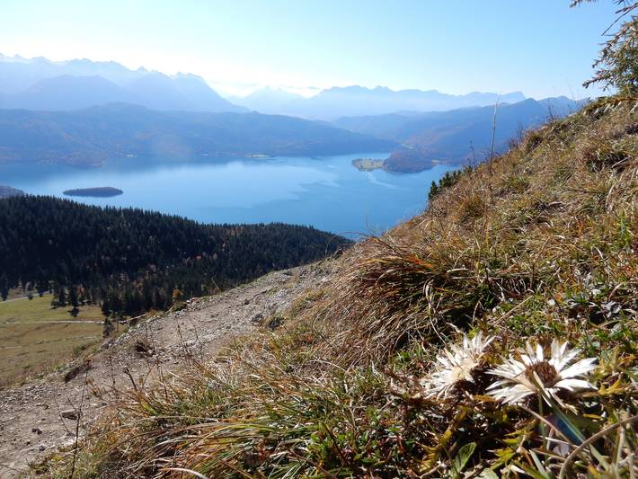 Ferienwohnung für 6 Personen, mit Garten, kinderfreundlich in Lenggries - 3
