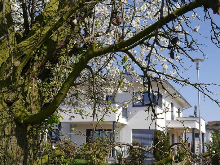 Ferienhaus für 3 Personen, mit Balkon in Kaiserstuhl - 3