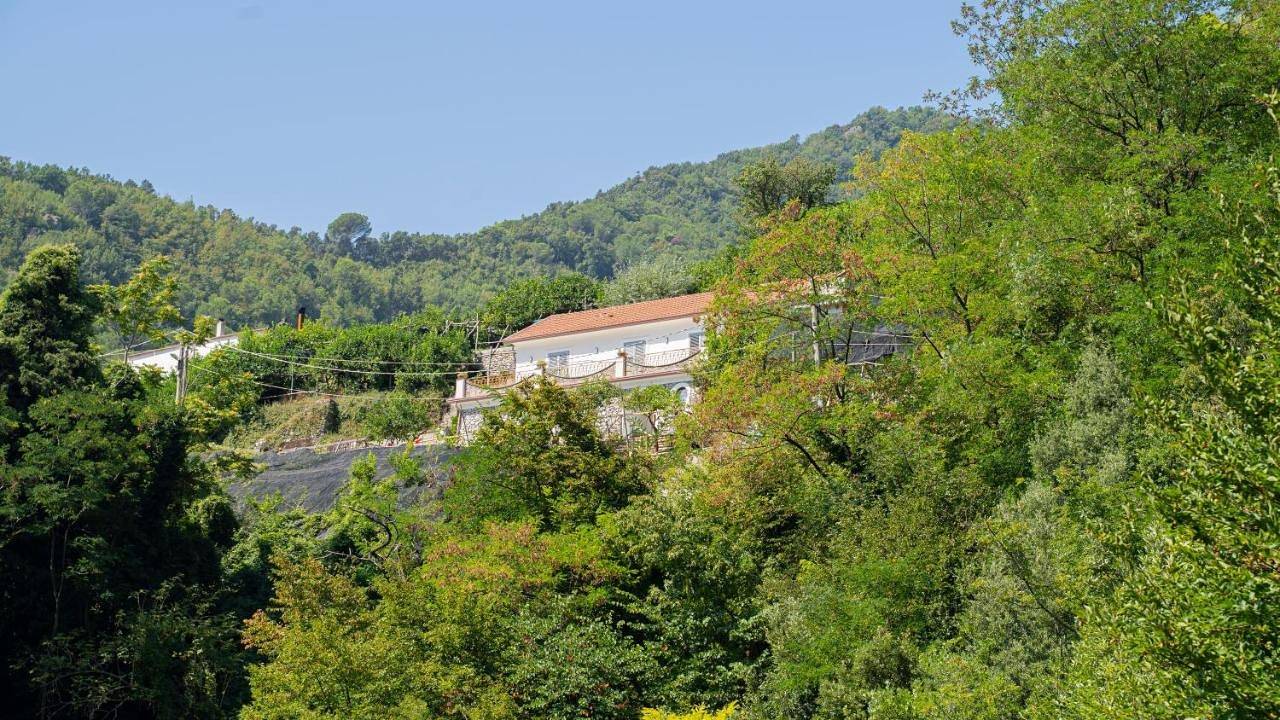 Appartamento intero, Tra Sole e Limoni Apartments in Tramonti, Monti Lattari