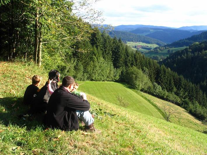 Bauernhof für 4 Personen, mit Balkon und Balkon/Terrasse sowie Terrasse und Garten im Schwarzwald