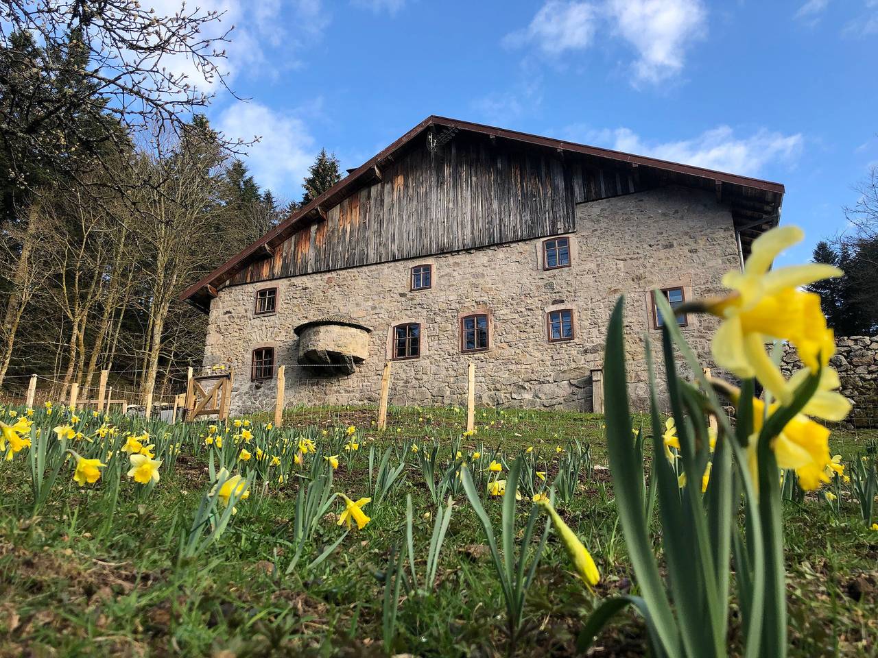 Ganze Wohnung, Ruhiges Bauernhof-Refugium in den Vogesen mit Parkplatz in Sapois, Regionaler Naturpark Belchen der Vogesen