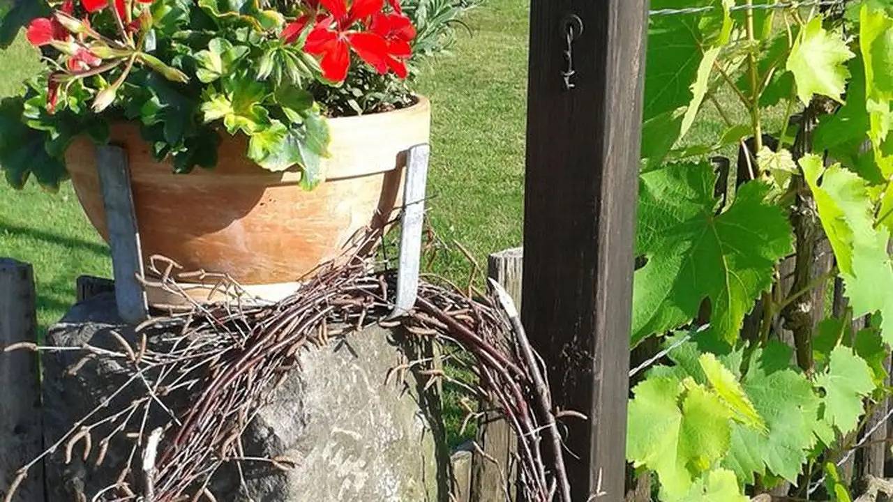 Ganze Ferienwohnung, Ferienwohnung für 4 Personen (40 m²) in Hohnstein in Hohnstein, Elbsandsteingebirge