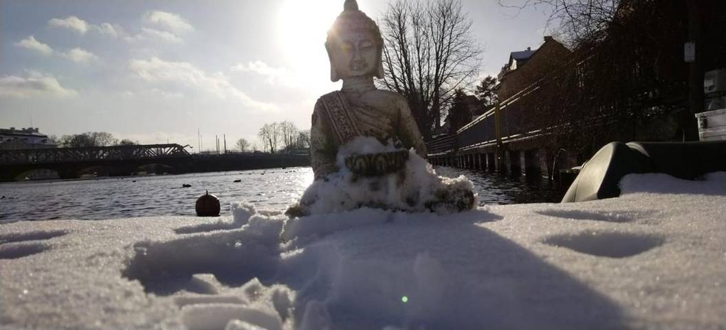 Lägenhet för 9 Personer, med utsikt samt trädgård och sjöutsikt, med husdjur i Berlin