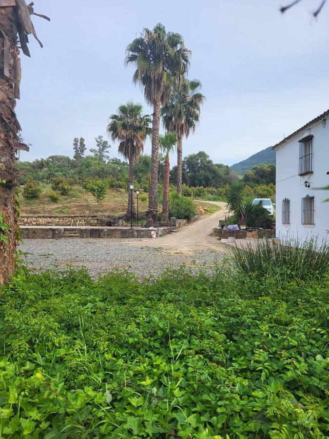 Casa rural para 8 personas, con jardín y piscina además de vistas al lago y vistas, Se admiten mascotas en Parque natural de Los Alcornocales - 3