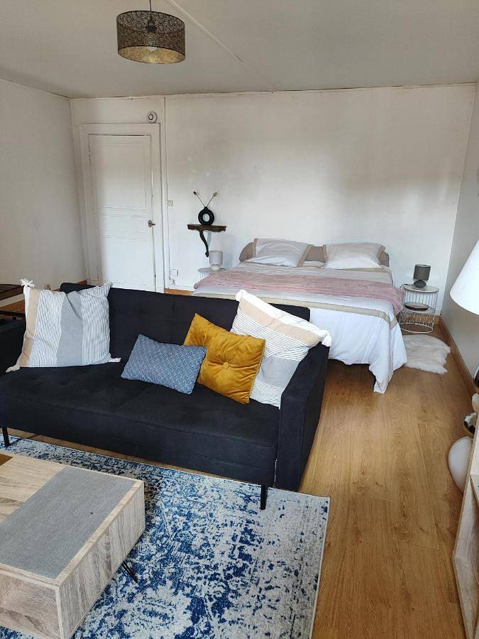 Gîte pour 3 personnes, avec terrasse, animaux acceptés à Carmaux - 3