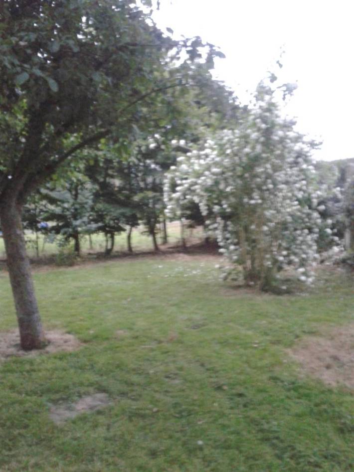 Cottage pour 4 personnes, avec jardin ainsi que terrasse et vue, animaux acceptés à Domvast