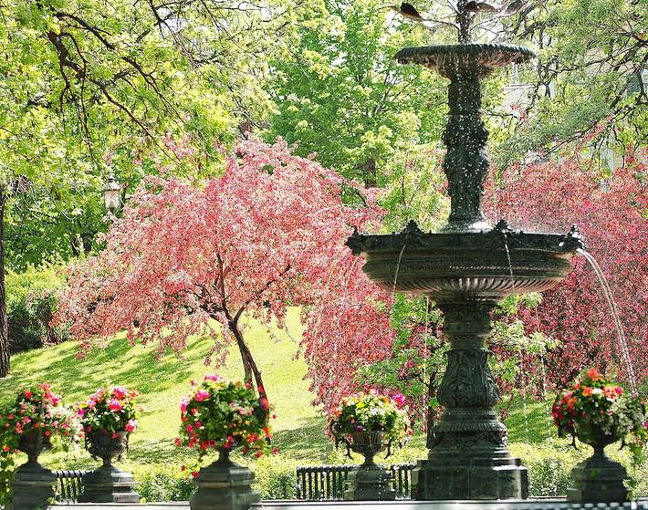 Vacation rental for 8 people, with yard and terrace in Saint Paul (MN)