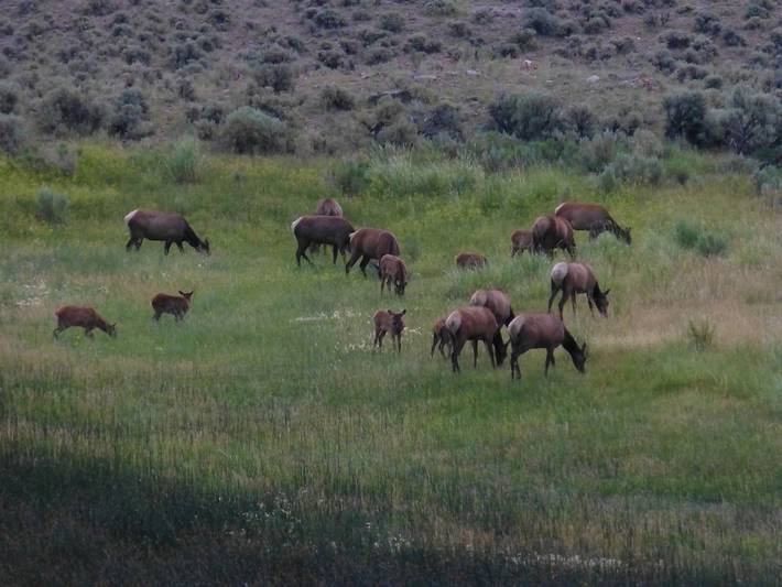 Holiday rental for 5 people, with balcony in Montana