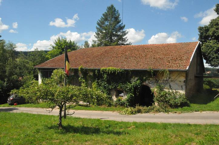 Chambre d’hôte pour 9 personnes, avec jardin, animaux acceptés dans les Vosges - 2