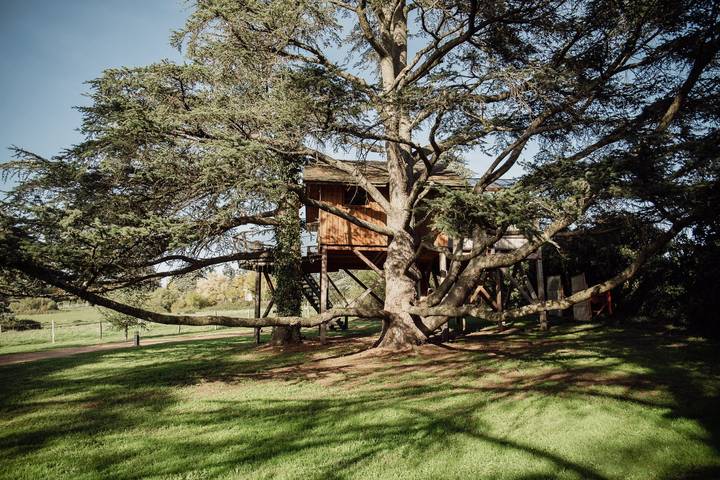 Cabane dans les arbres pour 2 personnes, avec piscine ainsi que jacuzzi et jardin