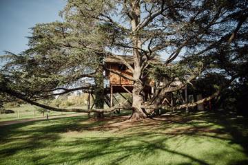 Cabane dans les arbres pour 2 personnes, avec piscine ainsi que jardin et jacuzzi à Cordelle