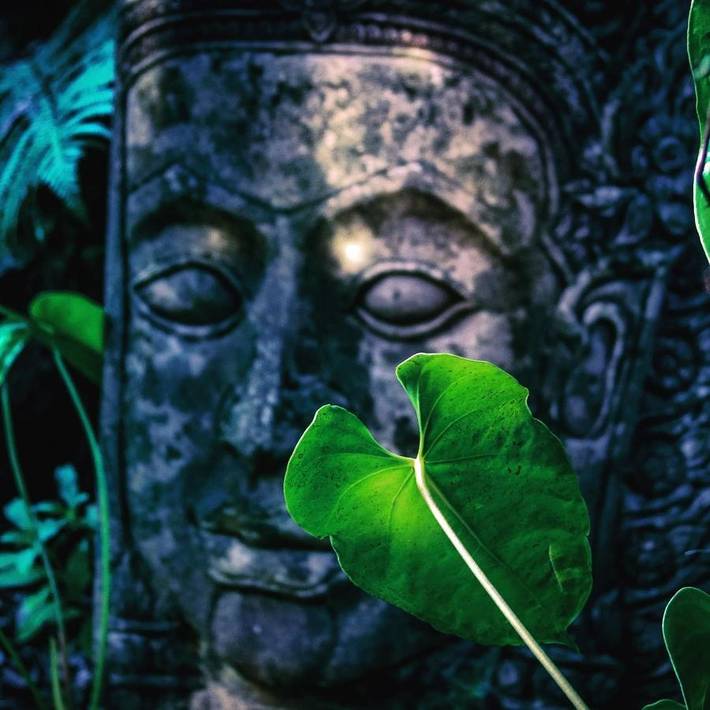 Maison d’hôte pour 2 personnes, avec vue et jardin dans Hawai - 4