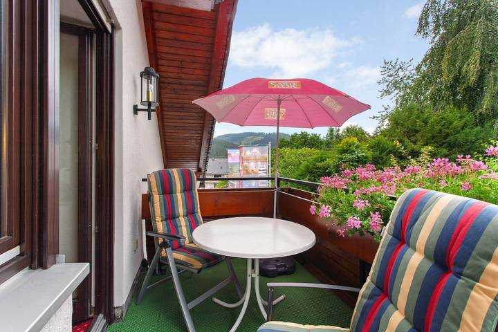 Entire apartment, Haus Schönblick - Apartment 8 with Mountain View, Balcony & Wi-Fi in Willingen, Upland