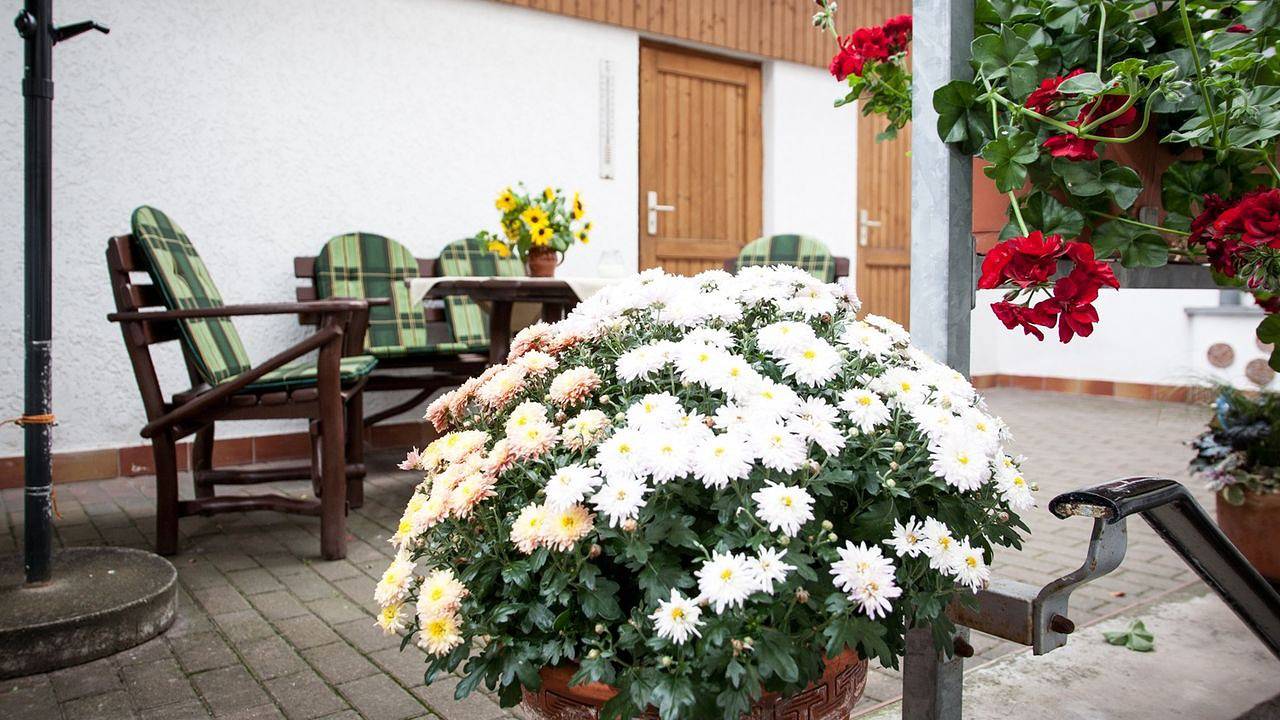 Ganze Ferienwohnung, Ferienwohnung für 3 Personen (55 m²) in Arnstadt in Arnstadt, Thüringer Kernland