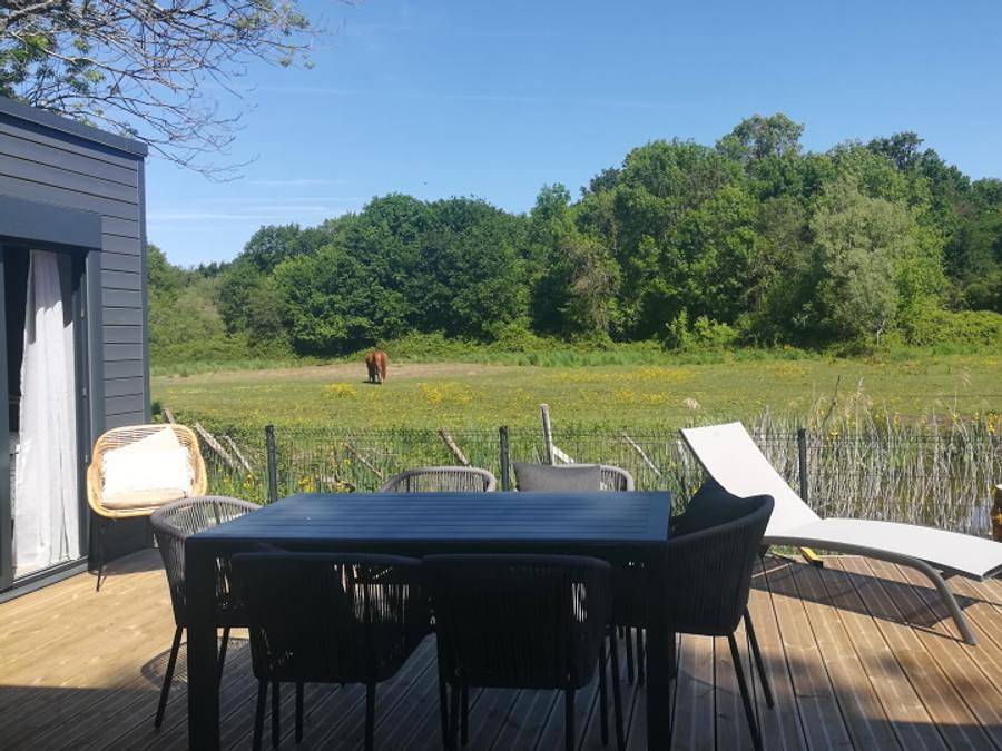 Camping Ecolodges Domaine de la Forêt - Mobile home 6 persons - Ecolodge Au Calme (Df20) 3 Bedrooms - 2 Bathrooms - 2 Terraces - Clim - Wifi 6 pers in Les Mathes, Côte de Beauté