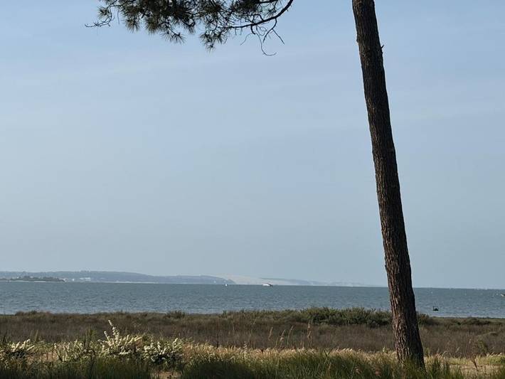 Camping pour 6 personnes à Lège-Cap-Ferret - 2