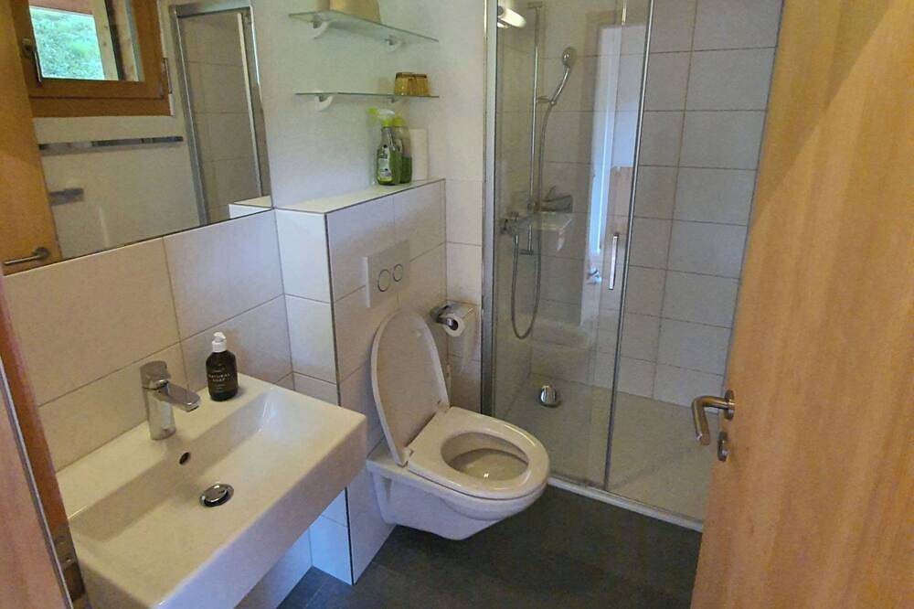 Ganze Wohnung, Balcon Sulegliv, Vattiz, (Vattiz). in Lumnezia, Alpenarena