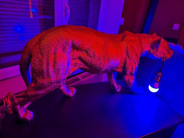 Location de vacances pour 2 personnes, avec jardin et terrasse à Maubeuge - 4