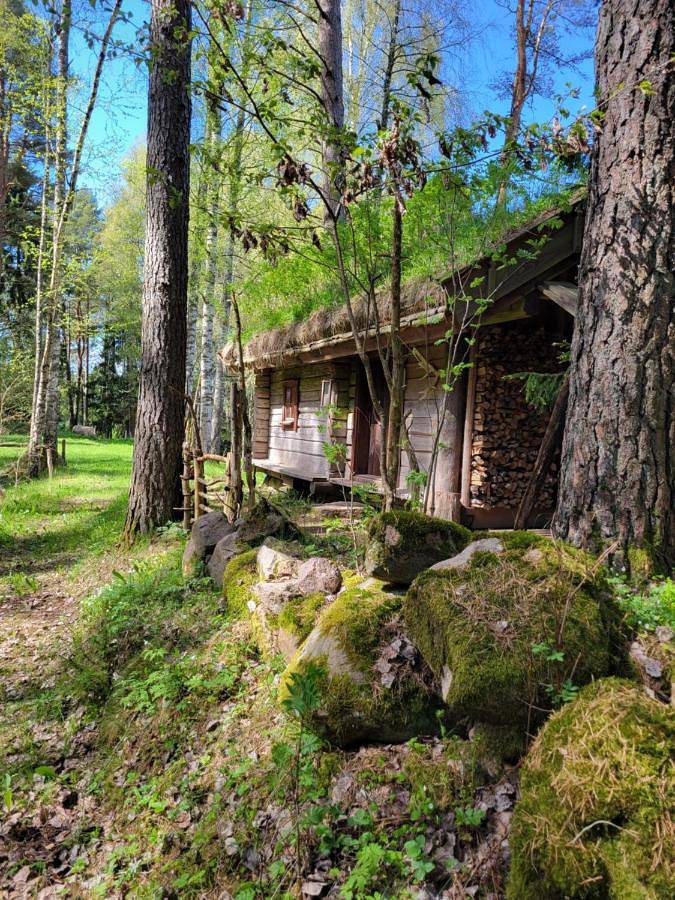 Ferienhaus für 2 Personen, mit Sauna, mit Haustier in Tibro