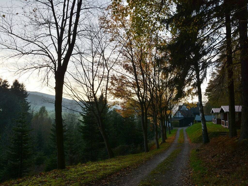 Hütte in Kirchbrak mit Barbecue und Wifi in Kirchbrak, Landkreis Holzminden