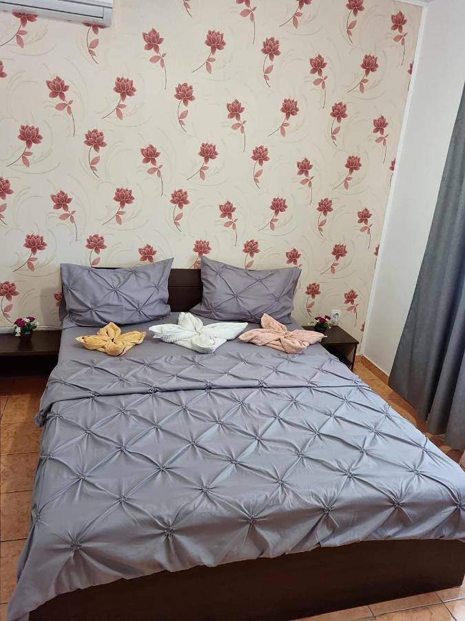 Maison d’hôte pour 3 personnes, avec Terrasse et Jardin dans Constanța - 2
