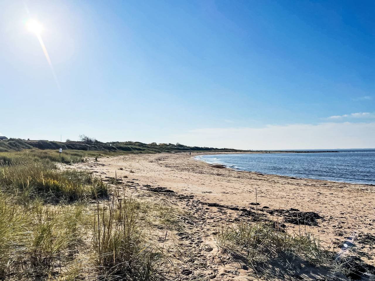 Rosa Huset in Bjärehalvön