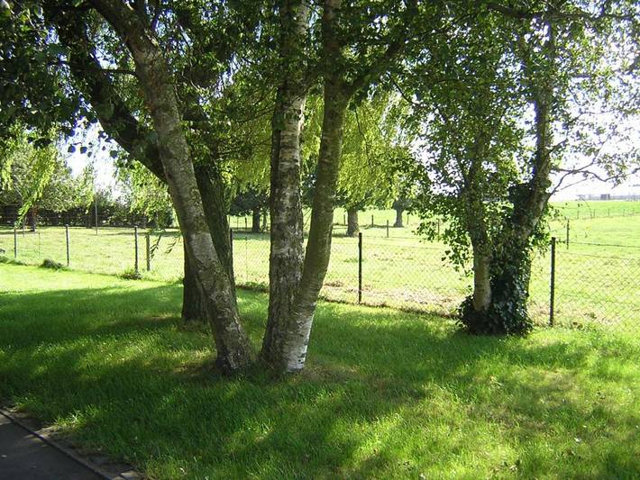 Maison de campagne pour 2 personnes, avec vue et jardin à Poperinge - 4