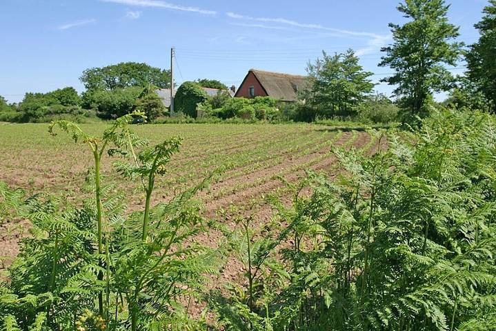 Gîte pour 2 personnes, avec jardin et terrasse en France - 2