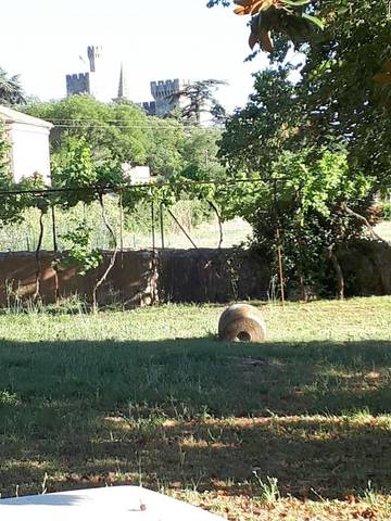 Chambre d’hôte pour 2 personnes, avec jardin ainsi que vue et piscine, animaux acceptés à Pouzilhac