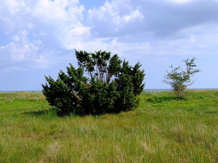 Ferienhaus für 4 Personen, mit Terrasse, kinderfreundlich in Gedesby - 3