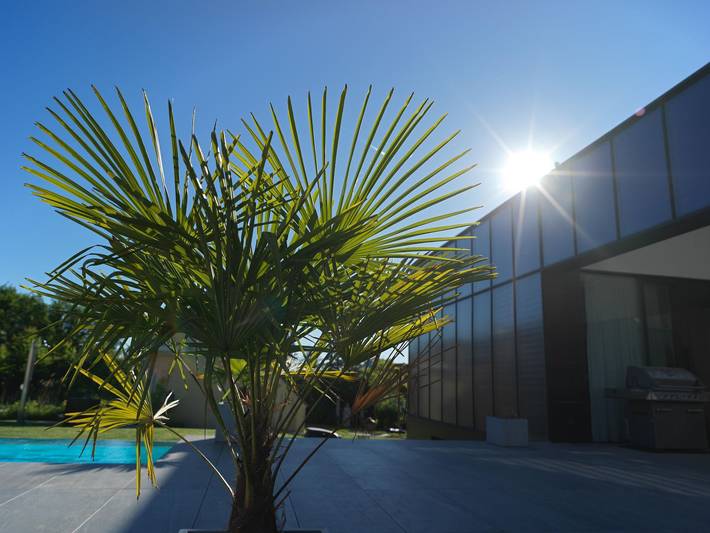 Ferienwohnung für 4 Personen, mit Pool und Garten sowie Whirlpool und Sauna, kinderfreundlich in Mühlviertel - 2