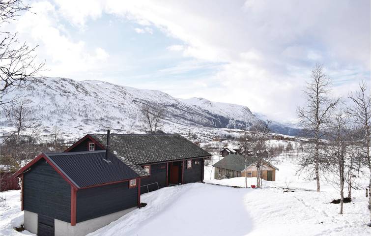Location de vacances pour 6 personnes, avec terrasse et jardin, adapté aux familles dans Eidfjord - 2