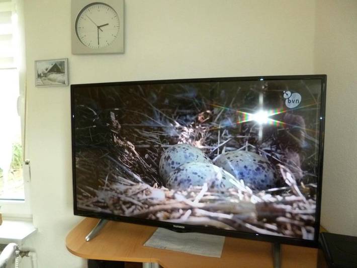 Ferienwohnung für 2 Personen, mit Garten und Ausblick in Neuastenberg - 2