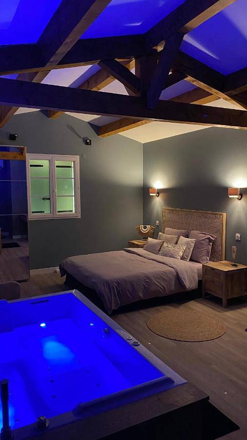 Maison d’hôte pour 2 personnes, avec piscine ainsi que jacuzzi et jardin à Montpellier - 4