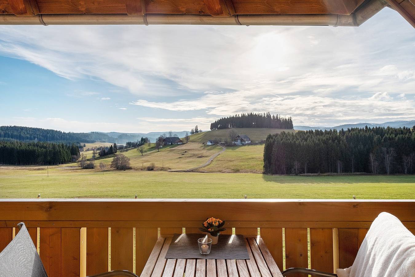 Ganze Wohnung, Ferienwohnung "Storchennest" mit Bergblick, Gemeinschaftsgarten und Wlan in Breitnau, Südschwarzwald