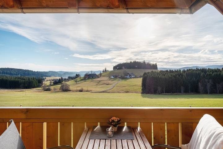 Ganze Wohnung, Ferienwohnung "Storchennest" mit Bergblick, Gemeinschaftsgarten und WLAN in Breitnau, Südschwarzwald