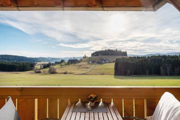 Bauernhof für 4 Personen in Breitnau, Hochschwarzwald, Bild 3