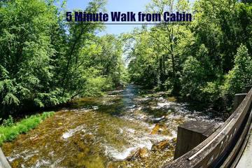 Log Cabin for 4 Guests in Fontana Lake, Swain County, Picture 2