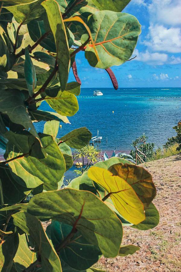 Location de vacances pour 3 personnes, avec terrasse et vue ainsi que jardin et piscine à Le François - 4