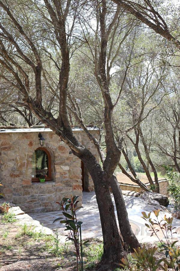 Bergerie La Nepita in Rapale, Région de Calvi