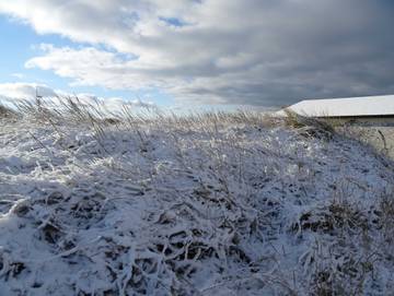Ferienwohnung für 2 Personen in Ahrenshoop, Darß, Bild 4